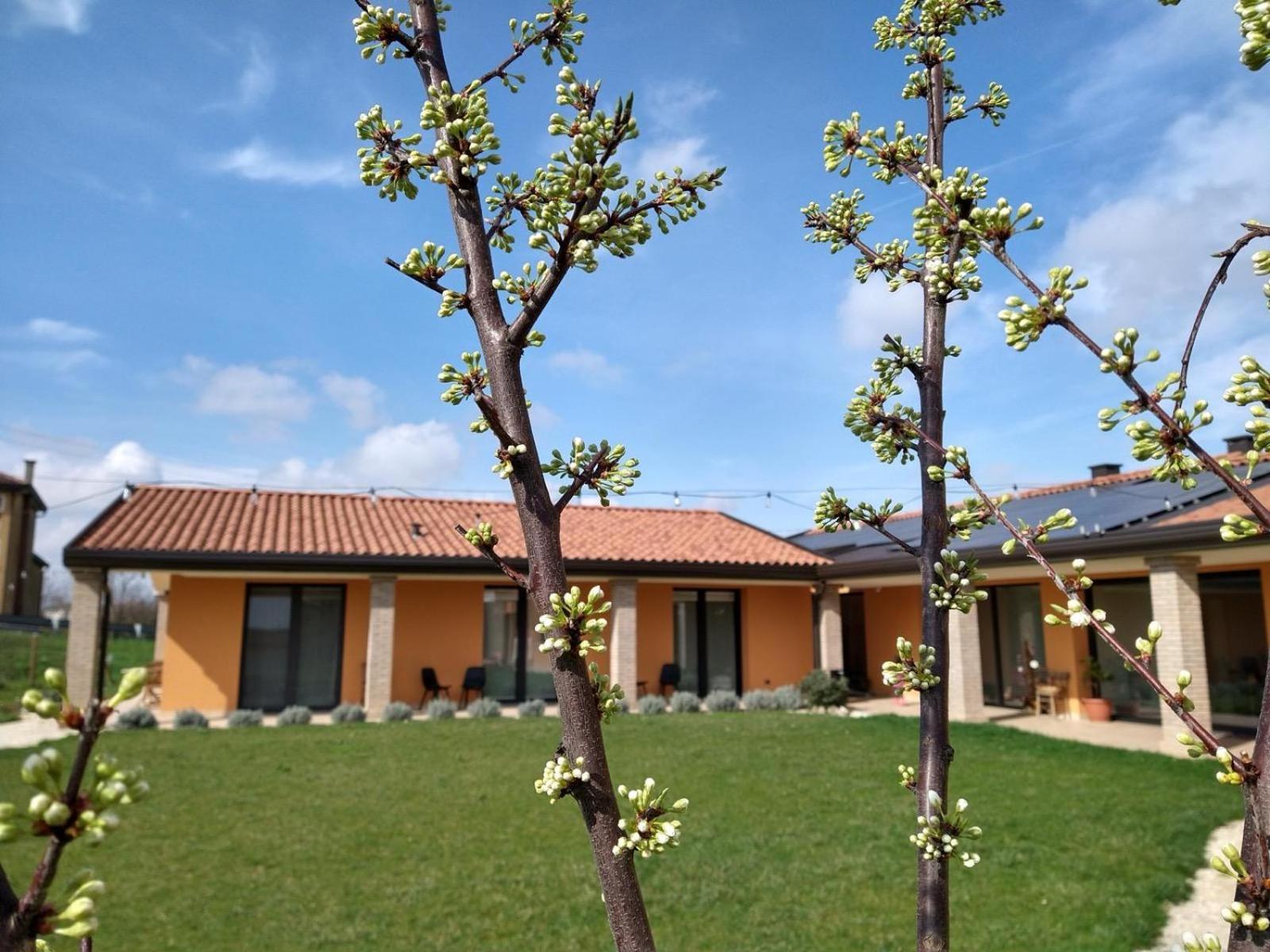 Agriturismo Verdecielo Padua Kamer foto